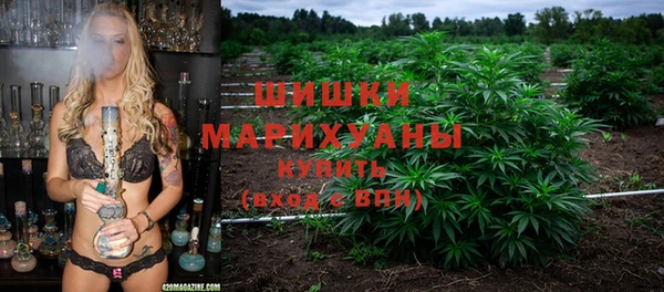 прущие крисы Абаза