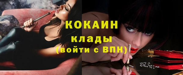 твердый Абинск