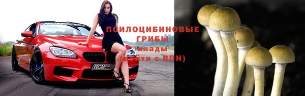 СК Алексин