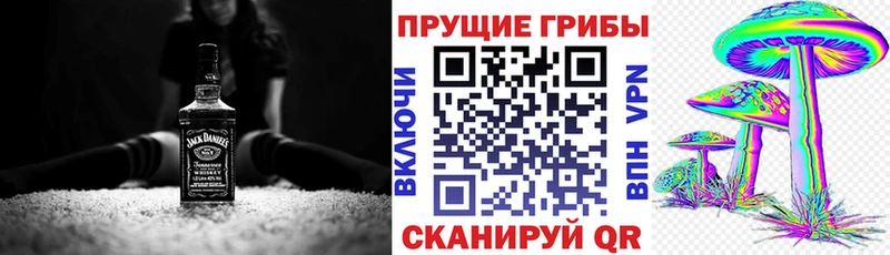 Псилоцибиновые грибы GOLDEN TEACHER  Нефтегорск 